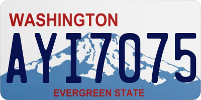 WA license plate AYI7075