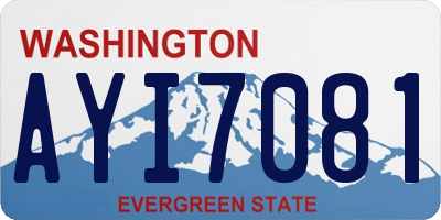 WA license plate AYI7081