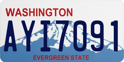 WA license plate AYI7091