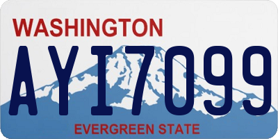 WA license plate AYI7099