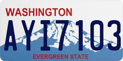WA license plate AYI7103