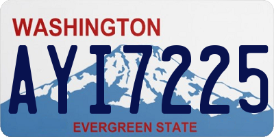 WA license plate AYI7225
