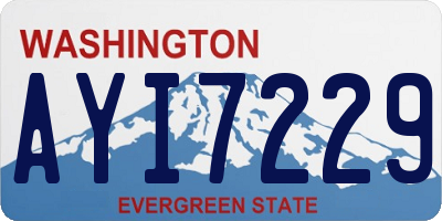WA license plate AYI7229