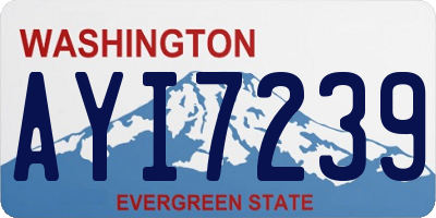 WA license plate AYI7239