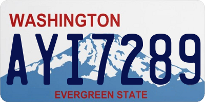 WA license plate AYI7289