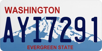 WA license plate AYI7291