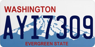 WA license plate AYI7309