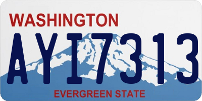 WA license plate AYI7313