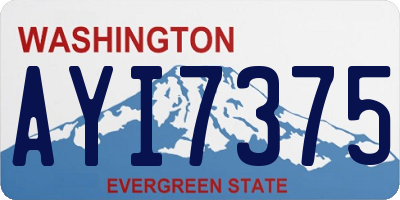 WA license plate AYI7375