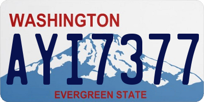 WA license plate AYI7377