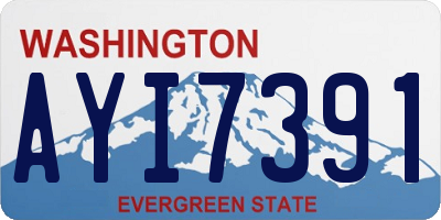 WA license plate AYI7391