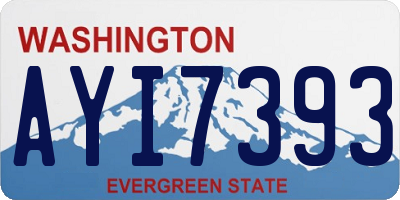 WA license plate AYI7393