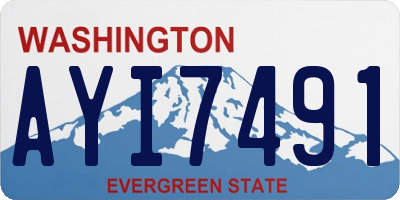 WA license plate AYI7491