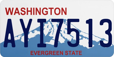 WA license plate AYI7513