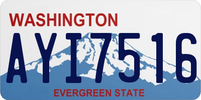 WA license plate AYI7516