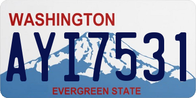 WA license plate AYI7531