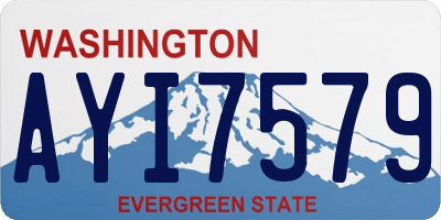 WA license plate AYI7579