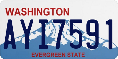 WA license plate AYI7591