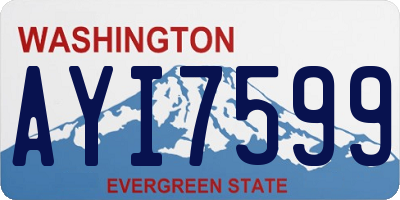 WA license plate AYI7599