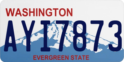 WA license plate AYI7873