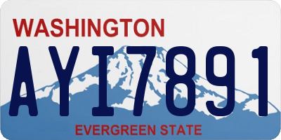 WA license plate AYI7891