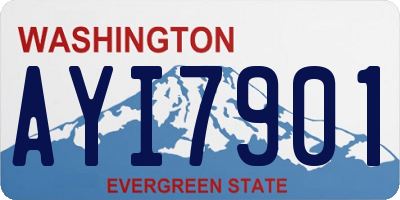 WA license plate AYI7901