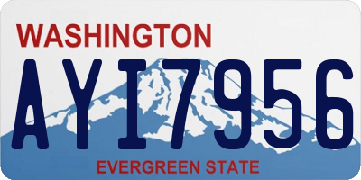 WA license plate AYI7956