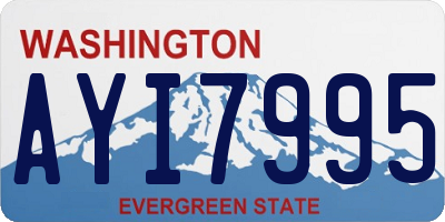 WA license plate AYI7995