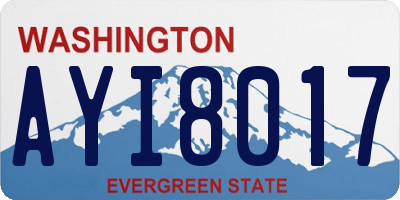WA license plate AYI8017
