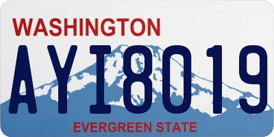 WA license plate AYI8019