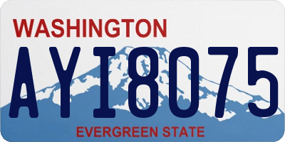WA license plate AYI8075