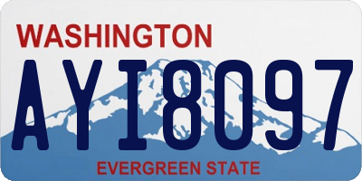 WA license plate AYI8097