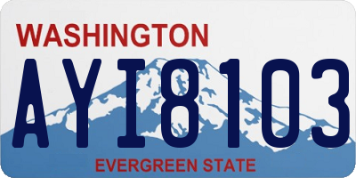 WA license plate AYI8103