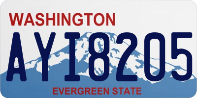 WA license plate AYI8205