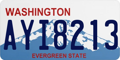 WA license plate AYI8213