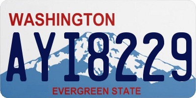 WA license plate AYI8229