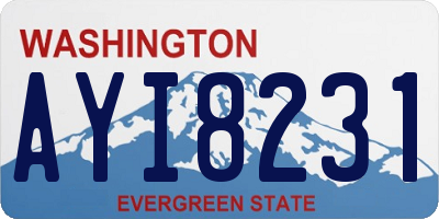 WA license plate AYI8231