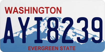 WA license plate AYI8239
