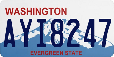 WA license plate AYI8247