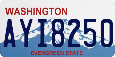 WA license plate AYI8250