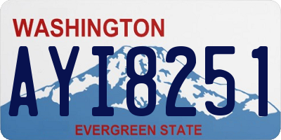 WA license plate AYI8251