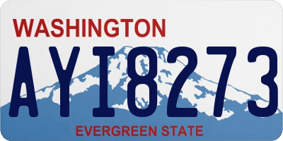WA license plate AYI8273