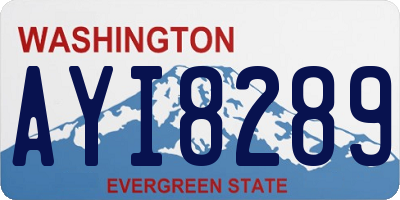 WA license plate AYI8289