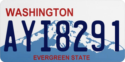 WA license plate AYI8291