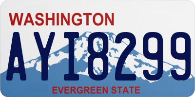WA license plate AYI8299