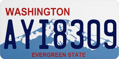 WA license plate AYI8309