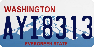 WA license plate AYI8313