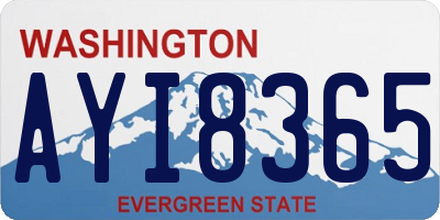 WA license plate AYI8365