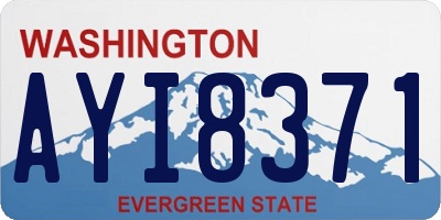 WA license plate AYI8371