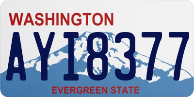 WA license plate AYI8377